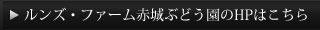 ホームページはこちら