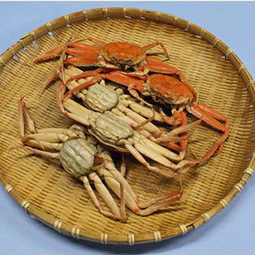 香箱がに(甲箱がに)姿・茹で5ハイ富山湾産近海産