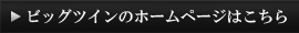 ビッグツインのHPはこちら