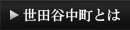 世田谷中町とは