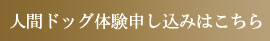 人間ドッグ体験申し込み
